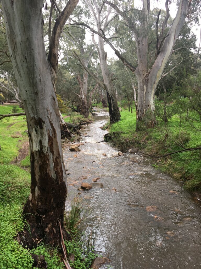 Kaurna Visual Resources | Morialta Uniting Church